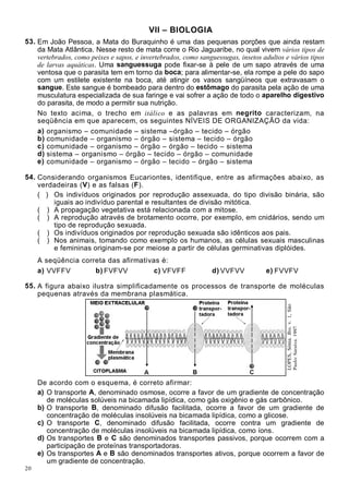 20
VII – BIOLOGIA
53. Em João Pessoa, a Mata do Buraquinho é uma das pequenas porções que ainda restam
da Mata Atlântica. Nesse resto de mata corre o Rio Jaguaribe, no qual vivem vários tipos de
vertebrados, como peixes e sapos, e invertebrados, como sanguessugas, insetos adultos e vários tipos
de larvas aquáticas. Uma sanguessuga pode fixar-se à pele de um sapo através de uma
ventosa que o parasita tem em torno da boca; para alimentar-se, ela rompe a pele do sapo
com um estilete existente na boca, até atingir os vasos sangüíneos que extravasam o
sangue. Este sangue é bombeado para dentro do estômago do parasita pela ação de uma
musculatura especializada de sua faringe e vai sofrer a ação de todo o aparelho digestivo
do parasita, de modo a permitir sua nutrição.
No texto acima, o trecho em itálico e as palavras em negrito caracterizam, na
seqüência em que aparecem, os seguintes NÍVEIS DE ORGANIZAÇÃO da vida:
a) organismo – comunidade – sistema –órgão – tecido – órgão
b) comunidade – organismo – órgão – sistema – tecido – órgão
c) comunidade – organismo – órgão – órgão – tecido – sistema
d) sistema – organismo – órgão – tecido – órgão – comunidade
e) comunidade – organismo – órgão – tecido – órgão – sistema
54. Considerando organismos Eucariontes, identifique, entre as afirmações abaixo, as
verdadeiras (V) e as falsas (F).
( ) Os indivíduos originados por reprodução assexuada, do tipo divisão binária, são
iguais ao indivíduo parental e resultantes de divisão mitótica.
( ) A propagação vegetativa está relacionada com a mitose.
( ) A reprodução através de brotamento ocorre, por exemplo, em cnidários, sendo um
tipo de reprodução sexuada.
( ) Os indivíduos originados por reprodução sexuada são idênticos aos pais.
( ) Nos animais, tomando como exemplo os humanos, as células sexuais masculinas
e femininas originam-se por meiose a partir de células germinativas diplóides.
A seqüência correta das afirmativas é:
a) VVFFV b) FVFVV c) VFVFF d) VVFVV e) FVVFV
55. A figura abaixo ilustra simplificadamente os processos de transporte de moléculas
pequenas através da membrana plasmática.
De acordo com o esquema, é correto afirmar:
a) O transporte A, denominado osmose, ocorre a favor de um gradiente de concentração
de moléculas solúveis na bicamada lipídica, como gás oxigênio e gás carbônico.
b) O transporte B, denominado difusão facilitada, ocorre a favor de um gradiente de
concentração de moléculas insolúveis na bicamada lipídica, como a glicose.
c) O transporte C, denominado difusão facilitada, ocorre contra um gradiente de
concentração de moléculas insolúveis na bicamada lipídica, como íons.
d) Os transportes B e C são denominados transportes passivos, porque ocorrem com a
participação de proteínas transportadoras.
e) Os transportes A e B são denominados transportes ativos, porque ocorrem a favor de
um gradiente de concentração.
LOPES,Sônia.Bio.v.1,São
Paulo:Saraiva,1997.
 