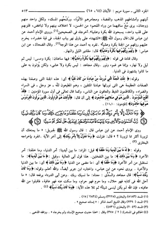 مختصر تفسير ابن كثير للعلامة المحقق أحمد شاكر (مفهرس)