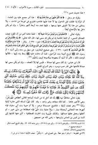 مختصر تفسير ابن كثير للعلامة المحقق أحمد شاكر (مفهرس)