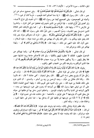 مختصر تفسير ابن كثير للعلامة المحقق أحمد شاكر (مفهرس)