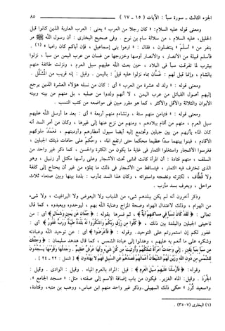 مختصر تفسير ابن كثير للعلامة المحقق أحمد شاكر (مفهرس)