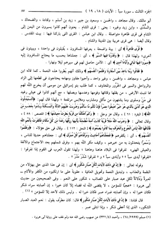 مختصر تفسير ابن كثير للعلامة المحقق أحمد شاكر (مفهرس)