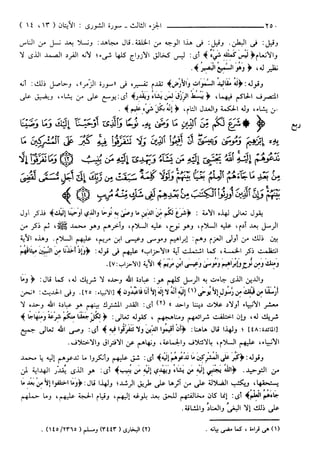مختصر تفسير ابن كثير للعلامة المحقق أحمد شاكر (مفهرس)