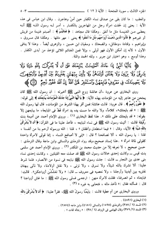 مختصر تفسير ابن كثير للعلامة المحقق أحمد شاكر (مفهرس)