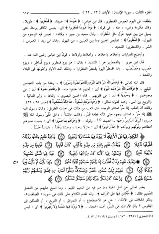 مختصر تفسير ابن كثير للعلامة المحقق أحمد شاكر (مفهرس)