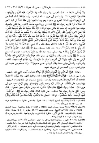 مختصر تفسير ابن كثير للعلامة المحقق أحمد شاكر (مفهرس)