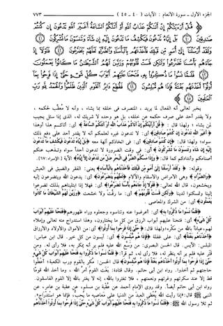 مختصر تفسير ابن كثير للعلامة المحقق أحمد شاكر (مفهرس)