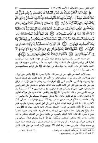 مختصر تفسير ابن كثير للعلامة المحقق أحمد شاكر (مفهرس)