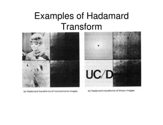 Examples of Hadamard
     Transform
 