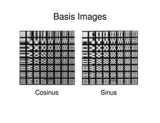 Basis Images




Cosinus        Sinus
 