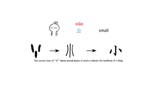 xiǎo
小 small
 