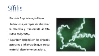 • Bacteria Treponema pallidum.
• La bacteria, es capaz de atravesar
la placenta y transmitirla al feto
(sífilis congénita).
• Aparecen lesiones en los órganos
genitales e inflamación que exuda
material altamente contagioso.
 