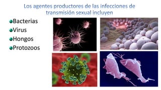 Bacterias
Virus
Hongos
Protozoos
 