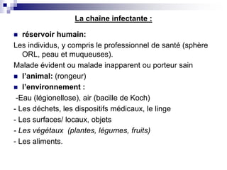La chaîne infectante :
 réservoir humain:
Les individus, y compris le professionnel de santé (sphère
ORL, peau et muqueuses).
Malade évident ou malade inapparent ou porteur sain
 l’animal: (rongeur)
 l’environnement :
-Eau (légionellose), air (bacille de Koch)
- Les déchets, les dispositifs médicaux, le linge
- Les surfaces/ locaux, objets
- Les végétaux (plantes, légumes, fruits)
- Les aliments.
 