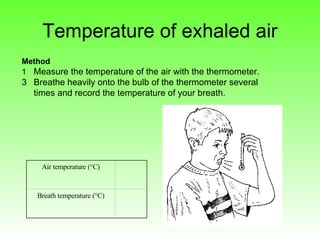 03inhaledexhaledair | PPT
