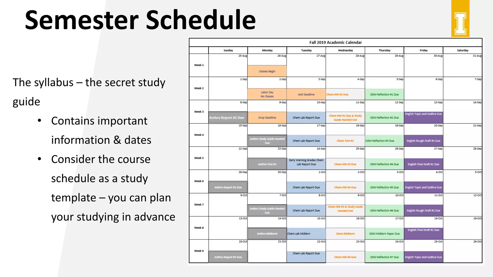 Semester Schedule
The syllabus – the secret study
guide
• Contains important
information & dates
• Consider the course
schedule as a study
template – you can plan
your studying in advance
 