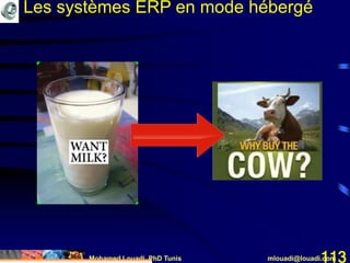 Mohamed Louadi, PhD Tunis mlouadi@louadi.com113
Les systèmes ERP en mode hébergé
 