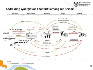 Building a common vision for sustainable food and agriculture – in the ...