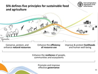Building a common vision for sustainable food and agriculture – in the ...
