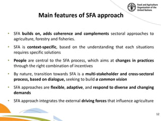 Building a common vision for sustainable food and agriculture – in the ...