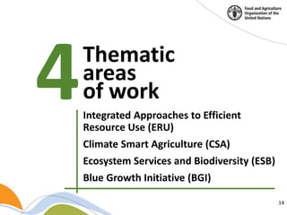 Building a common vision for sustainable food and agriculture – in the ...