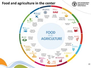 Building a common vision for sustainable food and agriculture – in the ...