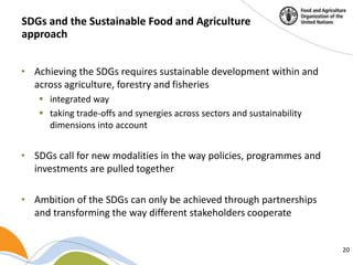 Building a common vision for sustainable food and agriculture – in the ...