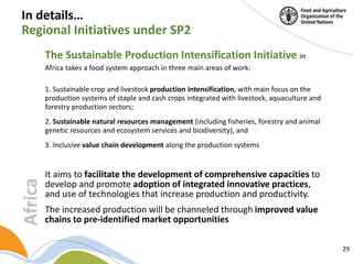 Building a common vision for sustainable food and agriculture – in the ...