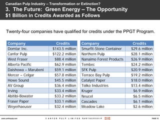 03 Joe Nemeth Canadian Pulp Industry Transformation Or Extinction | PDF