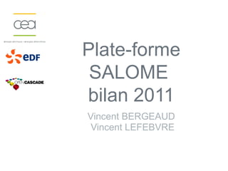 Plate-forme
 SALOME
bilan 2011
Vincent BERGEAUD
 Vincent LEFEBVRE
 