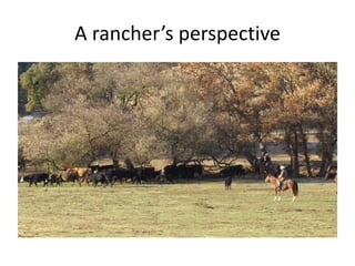 A rancher’s perspective
 