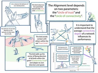 Let us observe the behavior of
one individual bird…
The behavior of one bird
depends on the
behavior of other birds
dynamically.
The bird avoids
contact with
others within the
red“Trust Circle”.
The bird adds up the
vector of flying direction
of all birds within the
green“Connectivity Circle”
and adapts its own
direction and speed.
The bird observes
two parameter
dynamically: trust
and connectivity.
The Alignment level depends
on two parameters:
the“circle of trust”and
the“circle of connectivity”.
It is important to
understand that the
average connectivity
degree of a network
influences its
performance.
The behavior of a
network is not linear
As long as the connectivity
degree remains under a certain
threshold, the network
performance follows an almost
constant linear growth.
Once we achieve a
certain critical
point, things
change
dramatically…
… passed a certain
connectivity degree,
the network´s
performance grows
exponentially.
 
