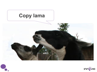 Copy lama
 