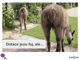 Dotace jsou fuj, ale…
 