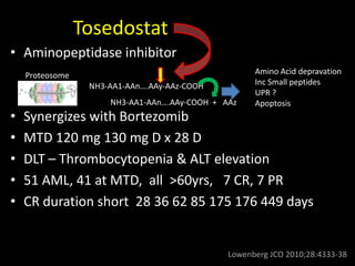 Tosedostat
• Aminopeptidase inhibitor
• Synergizes with Bortezomib
• MTD 120 mg 130 mg D x 28 D
• DLT – Thrombocytopenia & ALT elevation
• 51 AML, 41 at MTD, all >60yrs, 7 CR, 7 PR
• CR duration short 28 36 62 85 175 176 449 days
NH3-AA1-AAn….AAy-AAz-COOH
NH3-AA1-AAn….AAy-COOH + AAz
Proteosome Amino Acid depravation
Inc Small peptides
UPR ?
Apoptosis
Lowenberg JCO 2010;28:4333-38
 