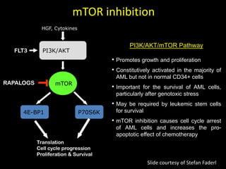 PI3K/AKT/mTOR Pathway
• Promotes growth and proliferation
• Constitutively activated in the majority of
AML but not in normal CD34+ cells
• Important for the survival of AML cells,
particularly after genotoxic stress
• May be required by leukemic stem cells
for survival
• mTOR inhibition causes cell cycle arrest
of AML cells and increases the pro-
apoptotic effect of chemotherapy
HGF, Cytokines
PI3K/AKT
mTOR
4E-BP1 P70S6K
Translation
Cell cycle progression
Proliferation & Survival
RAPALOGS
FLT3
mTOR inhibition
Slide courtesy of Stefan Faderl
 