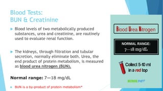 Blood Tests:
BUN & Creatinine
 Blood levels of two metabolically produced
substances, urea and creatinine, are routinely
used to evaluate renal function.
 The kidneys, through filtration and tubular
secretion, normally eliminate both. Urea, the
end product of protein metabolism, is measured
as blood urea nitrogen (BUN).
Normal range: 7—18 mg/dL
 BUN is a by-product of protein metabolism*
 