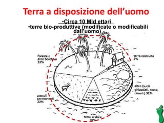 Terra a disposizione dell’uomo  Circa 10 Mld ettari  terre bio-produttive (modificate o modificabili dall’uomo)  