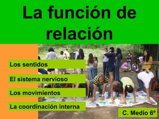 La función de
relación
Los sentidos
El sistema nervioso
Los movimientos
La coordinación interna
C. Medio 6º
 