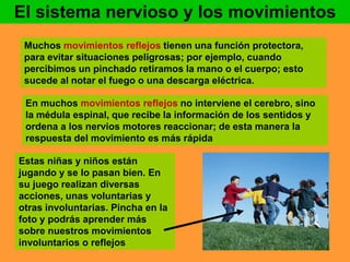 El sistema nervioso y los movimientos 
Muchos movimientos reflejos tienen una función protectora, 
para evitar situaciones peligrosas; por ejemplo, cuando 
percibimos un pinchado retiramos la mano o el cuerpo; esto 
sucede al notar el fuego o una descarga eléctrica. 
En muchos movimientos reflejos no interviene el cerebro, sino 
la médula espinal, que recibe la información de los sentidos y 
ordena a los nervios motores reaccionar; de esta manera la 
respuesta del movimiento es más rápida 
Estas niñas y niños están 
jugando y se lo pasan bien. En 
su juego realizan diversas 
acciones, unas voluntarias y 
otras involuntarias. Pincha en la 
foto y podrás aprender más 
sobre nuestros movimientos 
involuntarios o reflejos 
 