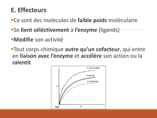E. Effecteurs
▪Ce sont des molecules de faible poids moléculaire
▪Se lient séléctivement à l’enzyme (ligands)
▪Modifie son activité
▪Tout corps chimique autre qu’un cofacteur, qui entre
en liaison avec l’enzyme et accélère son action ou la
ralentit
 