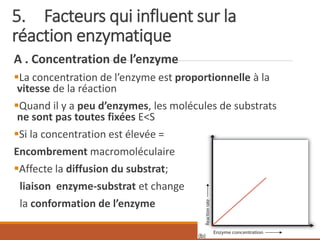 5. Facteurs qui influent sur la
réaction enzymatique
A . Concentration de l’enzyme
▪La concentration de l’enzyme est proportionnelle à la
vitesse de la réaction
▪Quand il y a peu d’enzymes, les molécules de substrats
ne sont pas toutes fixées E<S
▪Si la concentration est élevée =
Encombrement macromoléculaire
▪Affecte la diffusion du substrat;
liaison enzyme-substrat et change
la conformation de l’enzyme
 