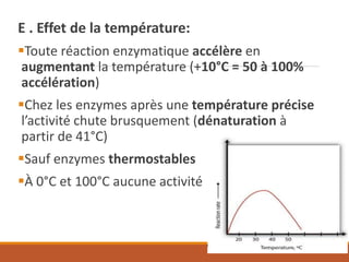 E . Effet de la température:
▪Toute réaction enzymatique accélère en
augmentant la température (+10°C = 50 à 100%
accélération)
▪Chez les enzymes après une température précise
l’activité chute brusquement (dénaturation à
partir de 41°C)
▪Sauf enzymes thermostables
▪À 0°C et 100°C aucune activité
 