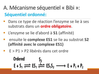 A. Mécanisme séquentiel « Bibi »:
Séquentiel ordonné:
▪ Dans ce type de réaction l’enzyme se lie à ses
substrats dans un ordre obligatoire.
▪ L’enzyme se lie d’abord à S1 (affinité)
▪ ensuite le complexe ES1 se lie au substrat S2
(affinité avec le complexe ES1)
▪ E > P1 > P2 libérés dans cet ordre
 
