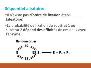 Séquentiel aléatoire:
▪Il n’existe pas d’ordre de fixation établi
(aléatoire)
▪La probabilité de fixation du substrat 1 ou
substrat 2 dépend des affinités de ces deux avec
l’enzyme
 