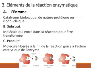 3. Eléments de la réaction enzymatique
A. L’Enzyme:
Catalyseur biologique, de nature protéique ou
ribonucléique
B. Substrat:
Molécule qui entre dans la réaction pour être
transformée
C. Produit:
Molécule libérée à la fin de la réaction grâce à l’action
catalytique de l’enzyme
 