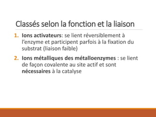 Classés selon la fonction et la liaison
1. Ions activateurs: se lient réversiblement à
l’enzyme et participent parfois à la fixation du
substrat (liaison faible)
2. Ions métalliques des métalloenzymes : se lient
de façon covalente au site actif et sont
nécessaires à la catalyse
 