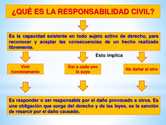 03 las responsabilidades ciudadanas
