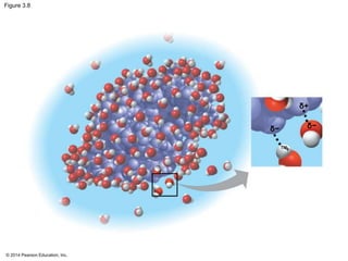 © 2014 Pearson Education, Inc.
Figure 3.8
δ−
δ+
δ−
+
 