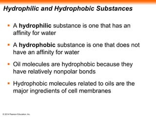 © 2014 Pearson Education, Inc.
Hydrophilic and Hydrophobic Substances
 A hydrophilic substance is one that has an
affinity for water
 A hydrophobic substance is one that does not
have an affinity for water
 Oil molecules are hydrophobic because they
have relatively nonpolar bonds
 Hydrophobic molecules related to oils are the
major ingredients of cell membranes
 
